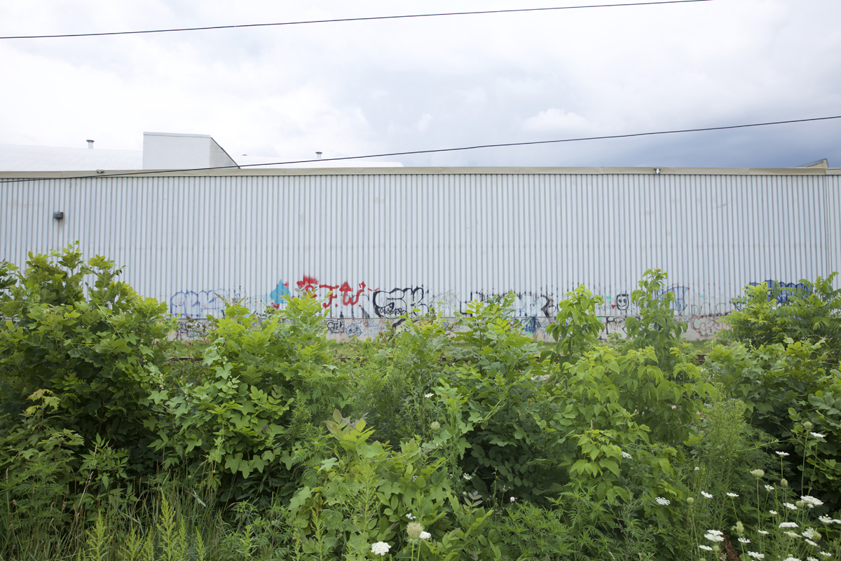 01 The Ward Train Trail - Capture photo 3 - Sounding the City 003 - Guelph 2018